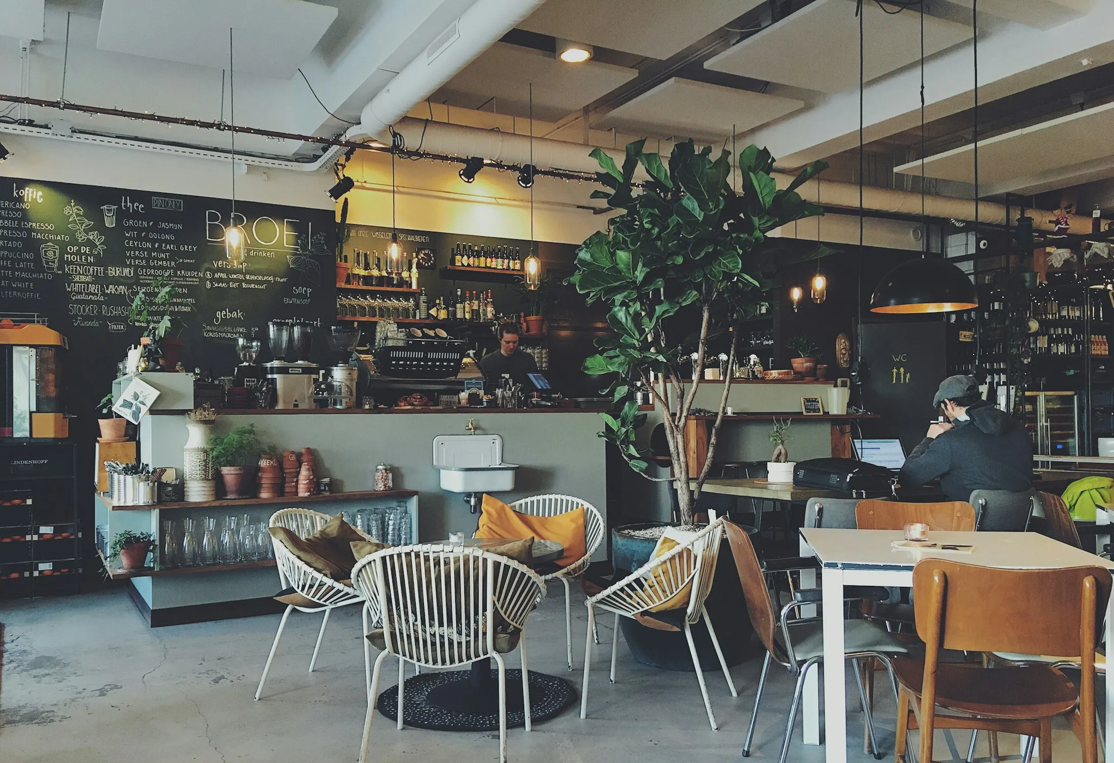 Sunlit interior of Ananda Tree House cafe with woven chairs, large potted plants and an open counter